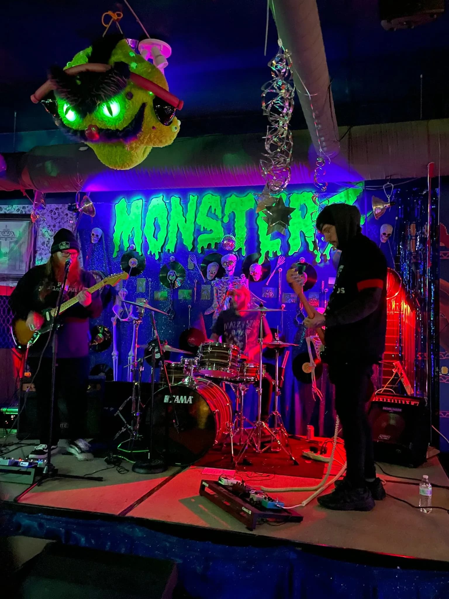 NEIGHBORHOOD STRAYS
